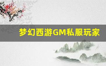 <b>梦幻西游GM私服玩家心得分享</b>