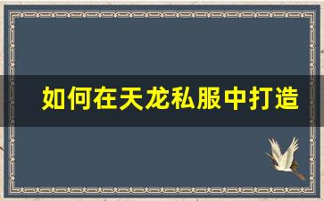 <b>如何在天龙私服中打造最强武当角色</b>