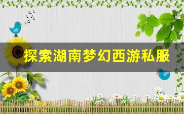 <b>探索湖南梦幻西游私服的魅力与优势</b>