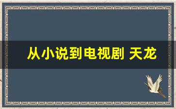 <b>从小说到电视剧 天龙八部SF网站演绎别样武侠风</b>