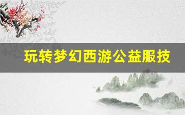 <b>玩转梦幻西游公益服技能搭配的策略和经验</b>