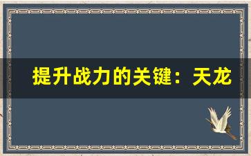 <b>提升战力的关键：天龙八部sf如何获取稀有材料</b>