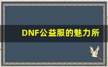 <b>DNF公益服的魅力所在 如何选择最受欢迎的服务器</b>