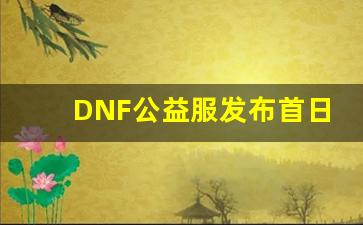 <b>DNF公益服发布首日热度超乎预期</b>