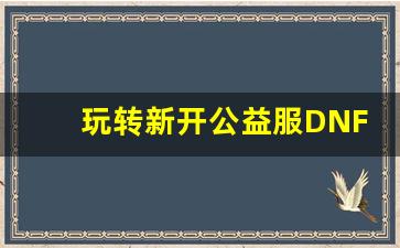 <b>玩转新开公益服DNF，福利多到你不敢相信</b>