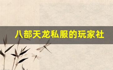 <b>八部天龙私服的玩家社群与互动体验</b>