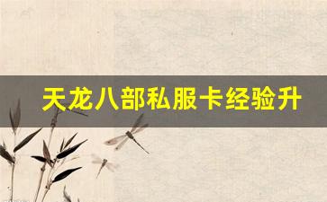 <b>天龙八部私服卡经验升级的秘密</b>