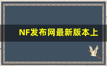 <b>NF发布网最新版本上线，玩家体验大提升</b>