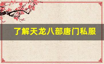 <b>了解天龙八部唐门私服中的稀有装备与副本挑战</b>