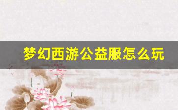 <b>梦幻西游公益服怎么玩？详细解析及玩法指南</b>