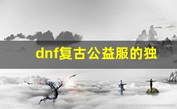 <b>dnf复古公益服的独特玩法解析</b>
