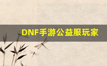<b>DNF手游公益服玩家心得，如何轻松打造最强角色</b>