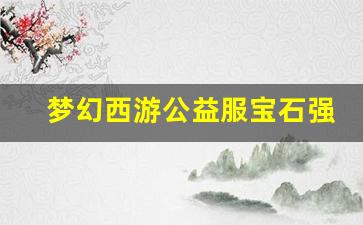 <b>梦幻西游公益服宝石强化策略与建议</b>