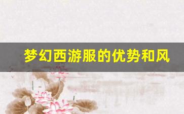 <b>梦幻西游服的优势和风险解析</b>