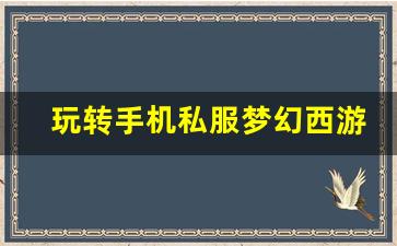 <b>玩转手机私服梦幻西游的技巧和攻略</b>