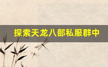 <b>探索天龙八部私服群中的精彩玩法与活动</b>