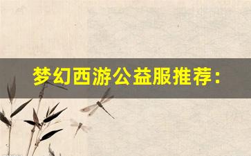 <b>梦幻西游公益服推荐：最值得体验的五大特色服</b>