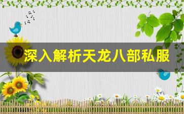 <b>深入解析天龙八部私服最新更新的特点与优势</b>