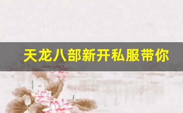 <b>天龙八部新开私服带你重温经典战斗体验</b>
