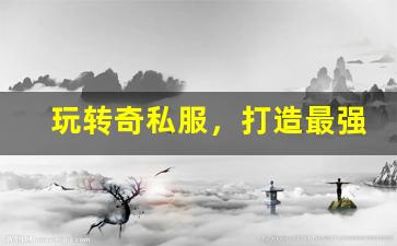 <b>玩转奇私服，打造最强战斗力</b>