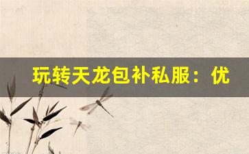 <b>玩转天龙包补私服：优化攻略与技巧分享</b>