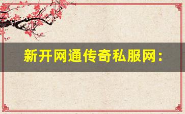 <b>新开网通传奇私服网：传奇玩家的全新天地</b>