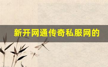 <b>新开网通传奇私服网的五大优势解析</b>