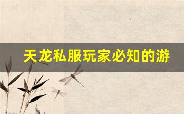 <b>天龙私服玩家必知的游戏技巧和攻略</b>