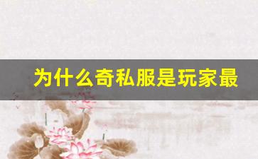 <b>为什么奇私服是玩家最爱的选择</b>