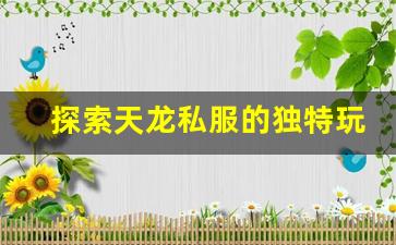 <b>探索天龙私服的独特玩法与资源获取技巧</b>