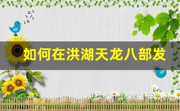 <b>如何在洪湖天龙八部发布网上快速提升角色等级</b>