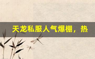 <b>天龙私服人气爆棚，热门玩法大解析</b>