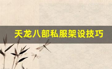 <b>天龙八部私服架设技巧与优化建议</b>