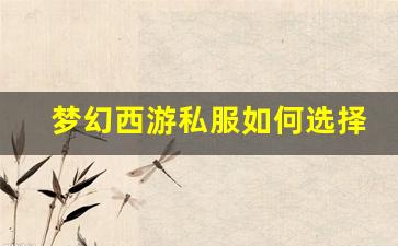 <b>梦幻西游私服如何选择最合适的服务器</b>