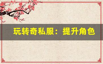 <b>玩转奇私服：提升角色战力的秘诀</b>