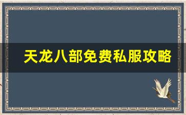 <b>天龙八部免费私服攻略：新手必备技巧与资源获取</b>