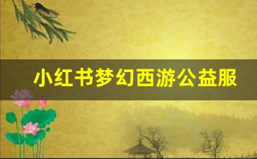 <b>小红书梦幻西游公益服怎么玩？详解玩法与福利</b>