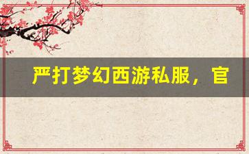 <b>严打梦幻西游私服，官方加强监管力度</b>