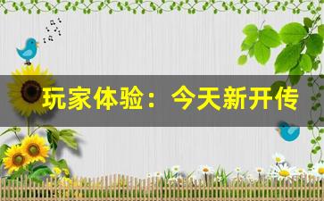 <b>玩家体验：今天新开传奇私服的游戏环境如何？</b>