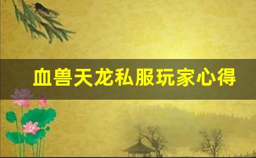 <b>血兽天龙私服玩家心得分享与成长路径</b>