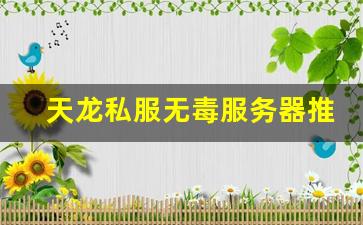 <b>天龙私服无毒服务器推荐，畅快游戏无后顾之忧</b>