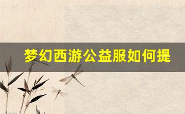<b>梦幻西游公益服如何提升会员PK技巧</b>