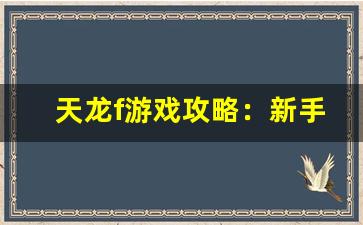 <b>天龙f游戏攻略：新手必备技巧与建议</b>