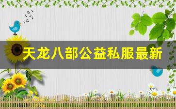 <b>天龙八部公益私服最新版本与经典玩法对比</b>