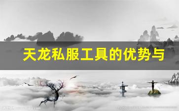 <b>天龙私服工具的优势与安全性解析</b>