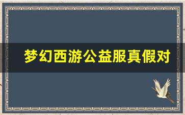 <b>梦幻西游公益服真假对比分析，玩家该如何选择</b>