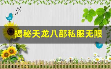 <b>揭秘天龙八部私服无限世界中的隐藏任务与奖励</b>