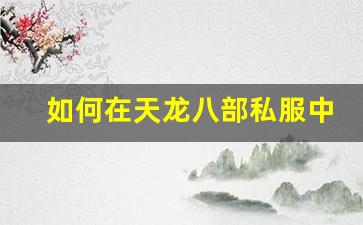 <b>如何在天龙八部私服中玩转武当绝学</b>