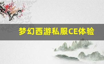 <b>梦幻西游私服CE体验心得：新手玩家必知的技巧</b>