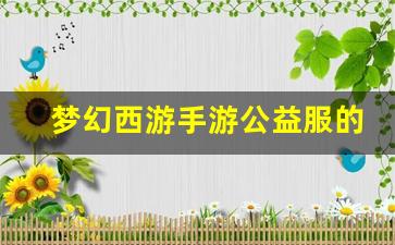 <b>梦幻西游手游公益服的优势：免费资源与无限成长</b>